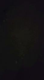 negreee webcam model stream image