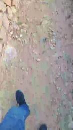 negreee webcam model stream image