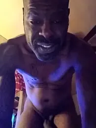 birdg webcam model stream image