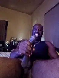 birdg webcam model stream image