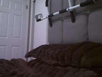 toolittletool webcam model stream image