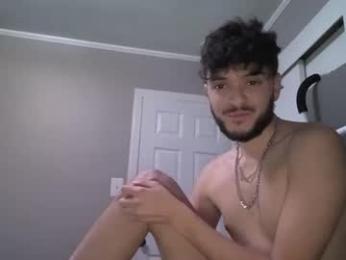 toolittletool webcam model stream image