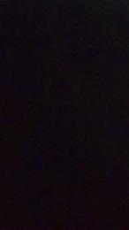 parejabomba1 webcam model stream image