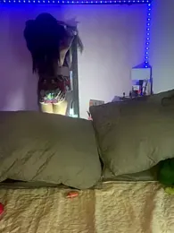 Terra_sunlight webcam model stream image