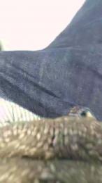 aia_191 webcam model stream image