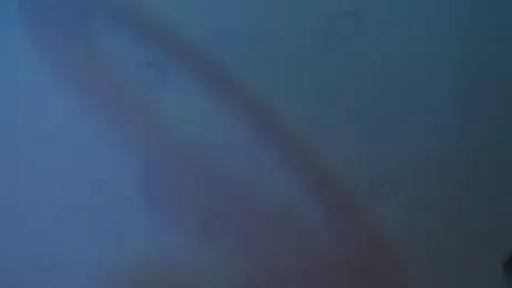 Amanda_River webcam model stream image