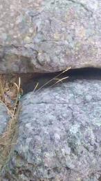 Domineiton33 webcam model stream image