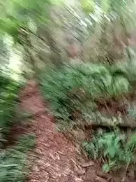 Novin4i20 webcam stripchat model stream image