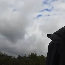 sweetysteph30 webcam model stream image