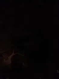 Twoslipperywhenwett webcam model stream image