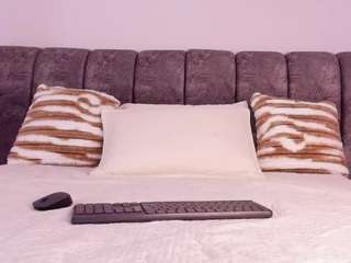 bss-naia webcam model stream image