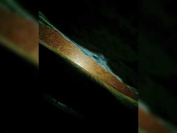 Tima5555 webcam model stream image