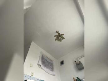 NeZabudka- webcam model stream image