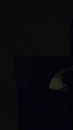 Pagani56 webcam model stream image