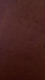 Tealucinox webcam model stream image