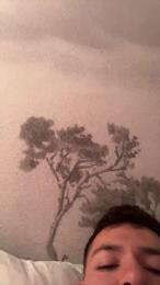 Fjno webcam model stream image