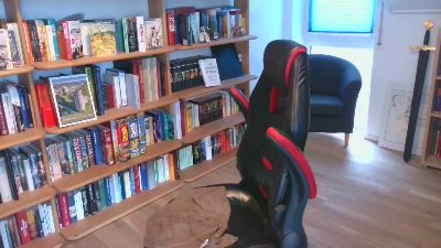 nc1510 webcam model stream image