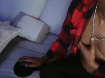 skyonetoo3 webcam model stream image