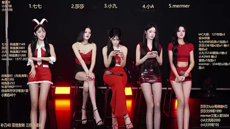 SK010 webcam model stream image