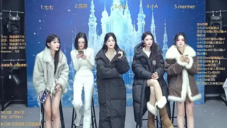 SK010 webcam model stream image