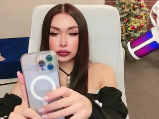 Goddes Lea webcam model stream image