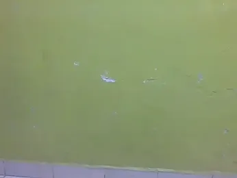 Africanmandk webcam model stream image