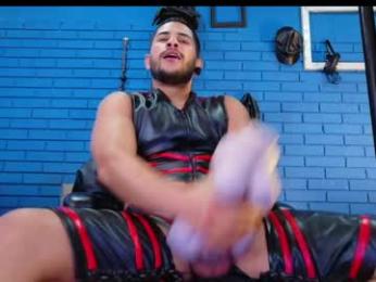 theian26 webcam model stream image