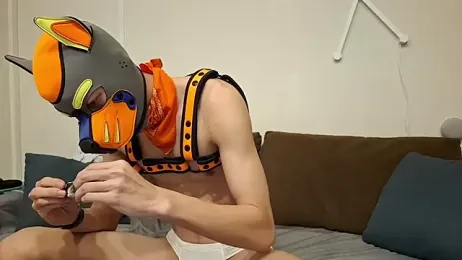 tibetanwolf_sex webcam model stream image