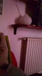 Bellafica78 webcam model stream image