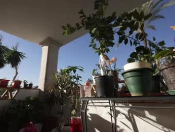 hannahjames710 webcam model stream image