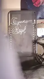 lit702 webcam model stream image