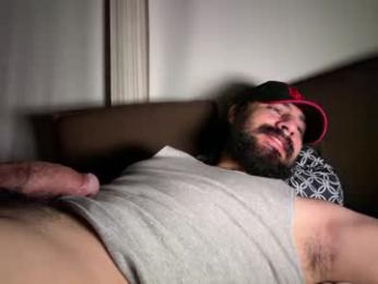 1ui5 webcam model stream image