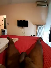 Stud_s webcam model stream image