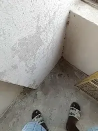 janu_9900 webcam model stream image