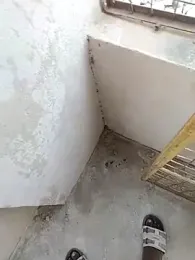 janu_9900 webcam model stream image