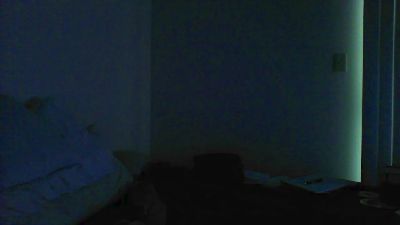 Leonoak1_ webcam model stream image