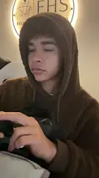 Austinking webcam model stream image