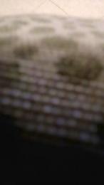 alessandravite1 webcam model stream image