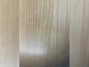 WIDEHIPS webcam model stream image