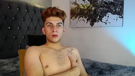 MrWilliseo webcam stripchat model stream image