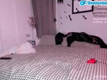 dominatingher69 webcam model stream image