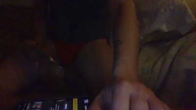 farmand webcam model stream image