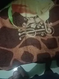 Ranicplshow webcam stripchat model stream image