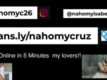 shinyplace webcam model stream image