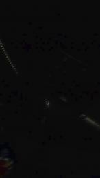 lino166 webcam model stream image