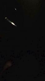 lino166 webcam model stream image