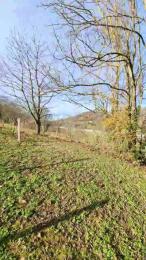 Legtiste webcam model stream image