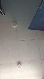 algodondeazucar webcam model stream image