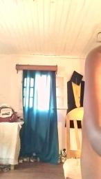 mandali4 webcam model stream image