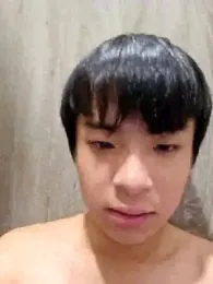 qvq1008 webcam model stream image